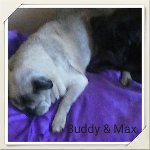 Meet your Posher, Mandi